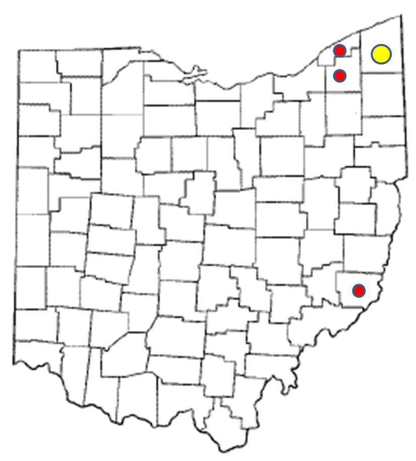 maptamete